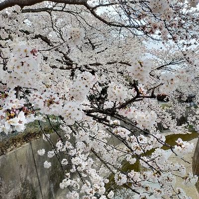 古井重箱