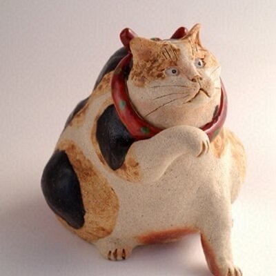 たまのきゅうか