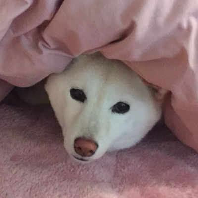 ねね