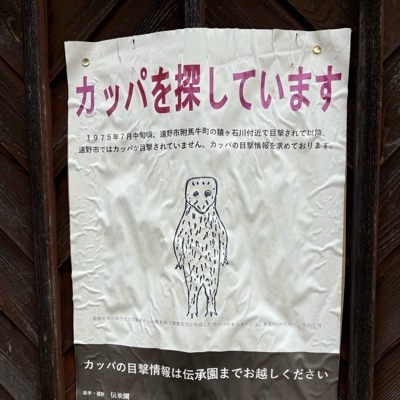 「しゃーなしやぞ」