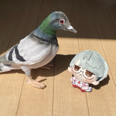 ぽっぽ