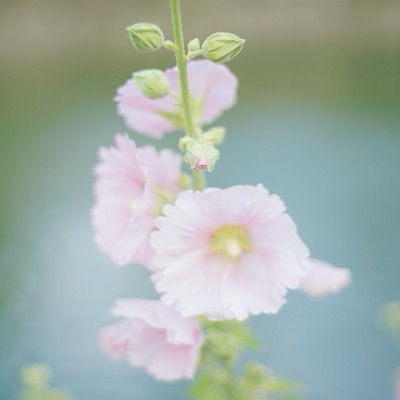 汐子