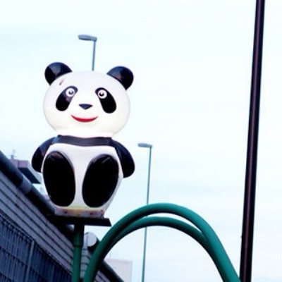 🐼