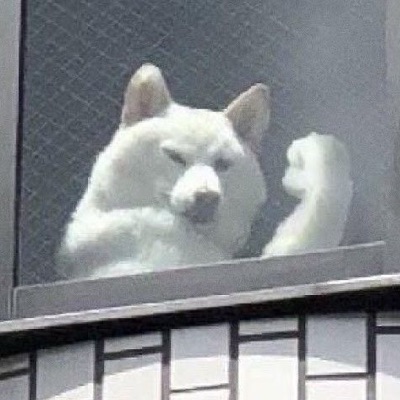 もみのき
