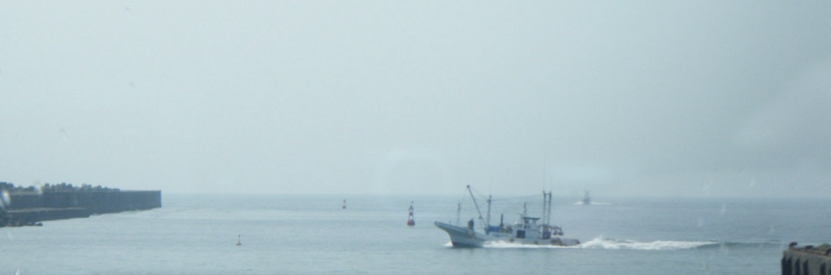 雨