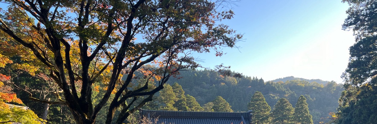 ポム