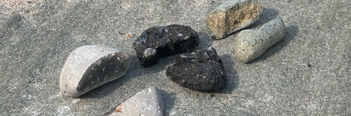 自分