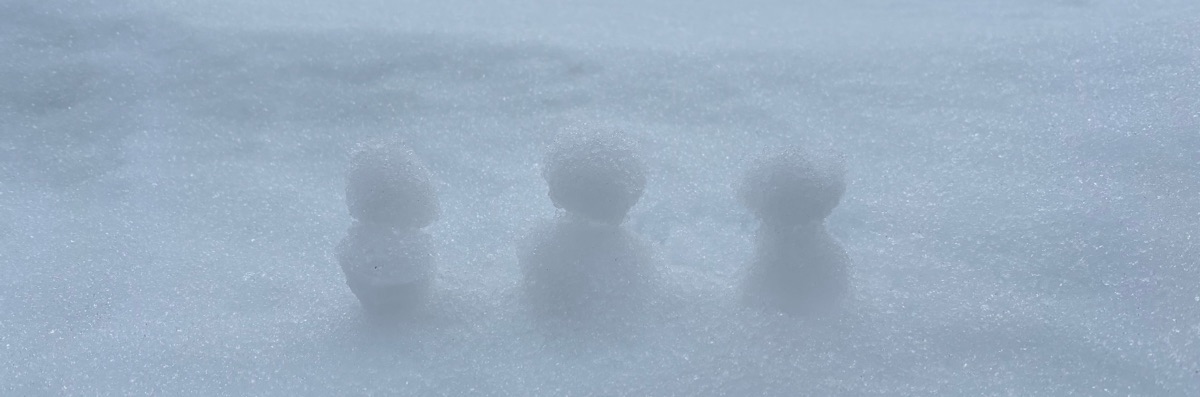 雪穂