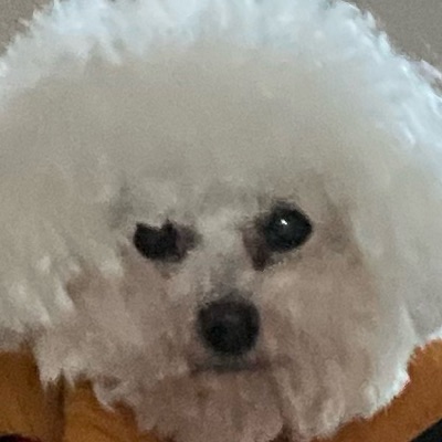 ふぅ