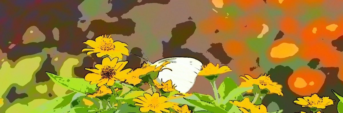 はれのち