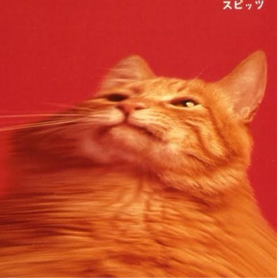 モルモ