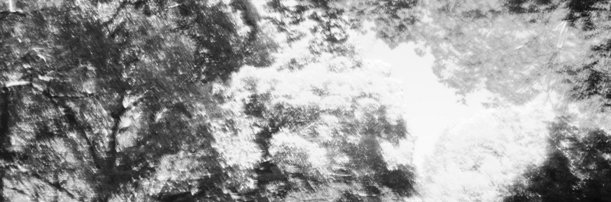 ちんどぅー なおき