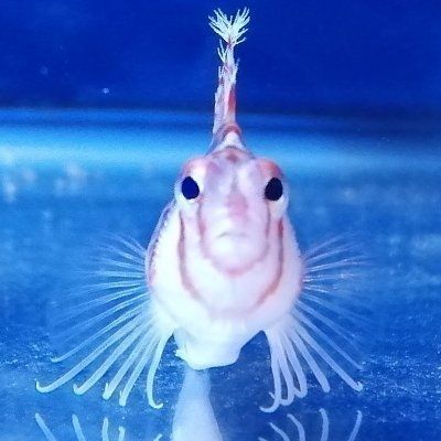 そこ