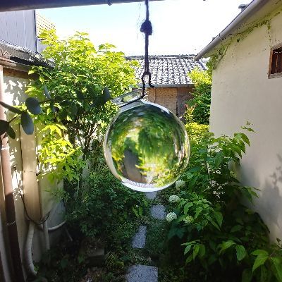 まるまろ24