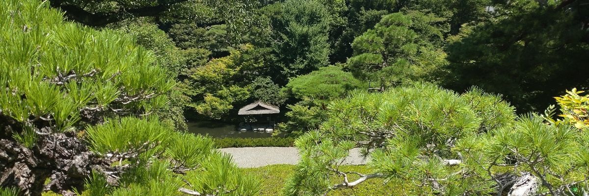 はぐ