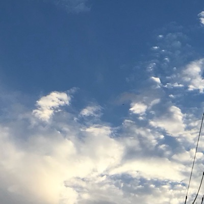 ナオ