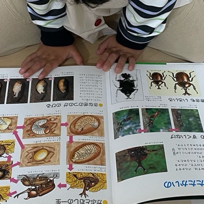 もちこ