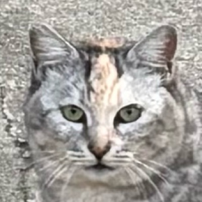 ああああ合同会社