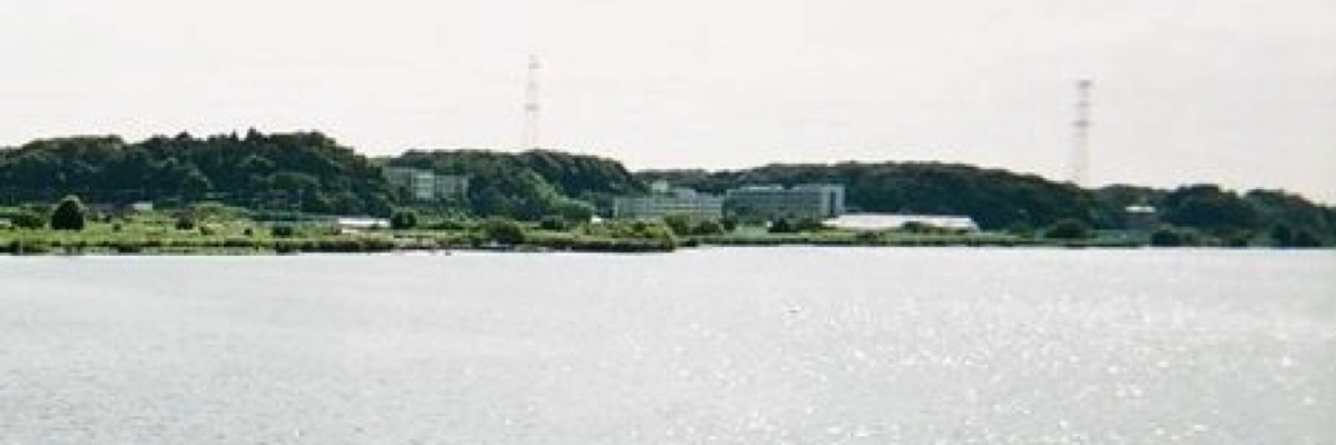 michiha