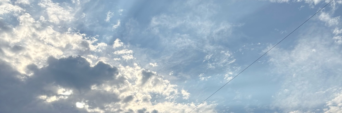 水野