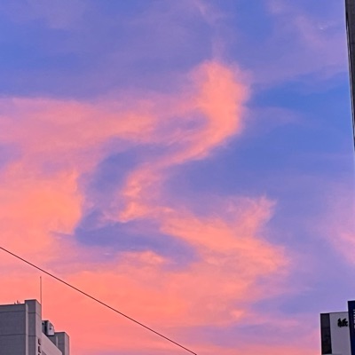 依