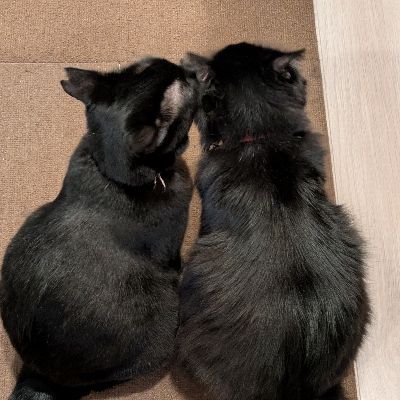 くろの