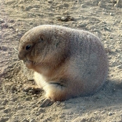 た行のよんばんめ