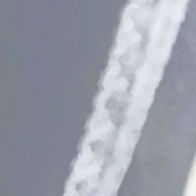 白身派