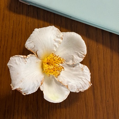 りっか