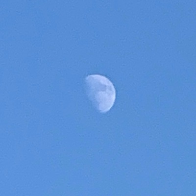 朝三