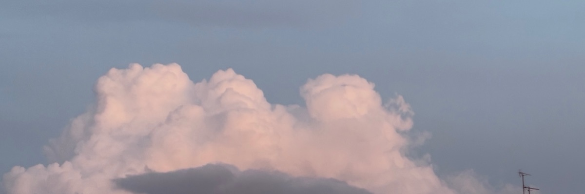 おさと