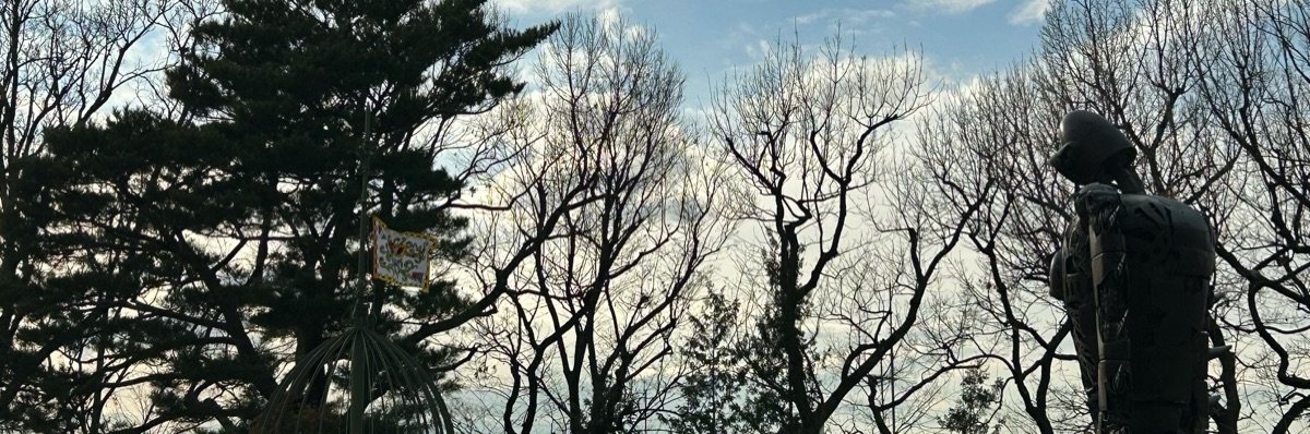 桜湯