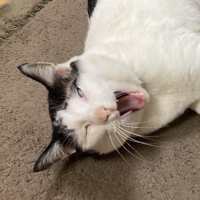 ちびっこ