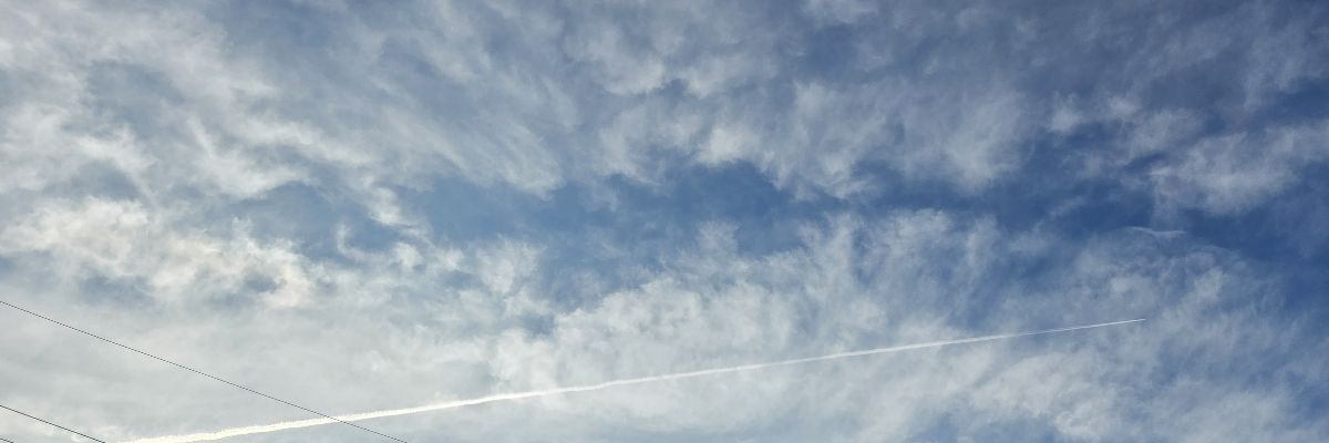 本かじり夏のすけ