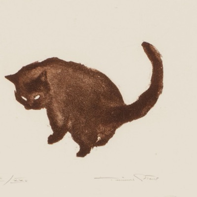 gato