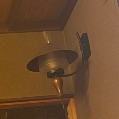 活字アレルギー