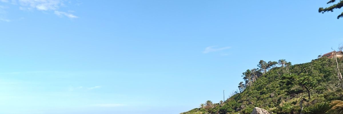 ちま