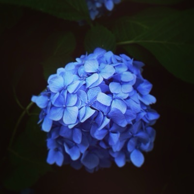 美月哀夜