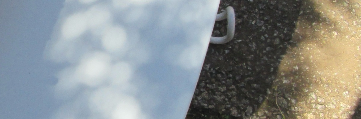mogu