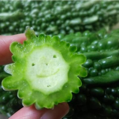 ほぬかお