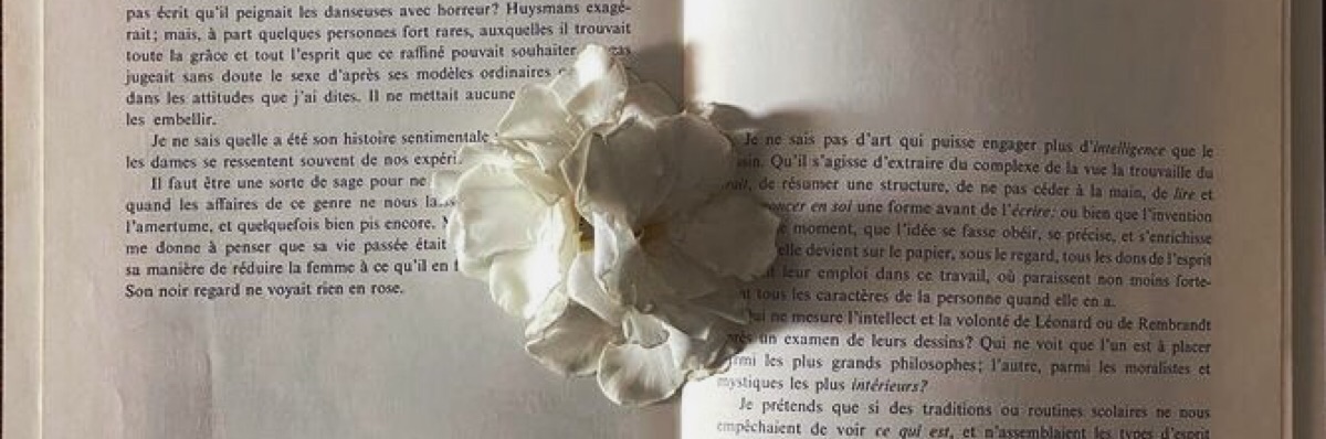 ℬ𝓁𝑜𝑜𝓂𝒾𝓃𝑔