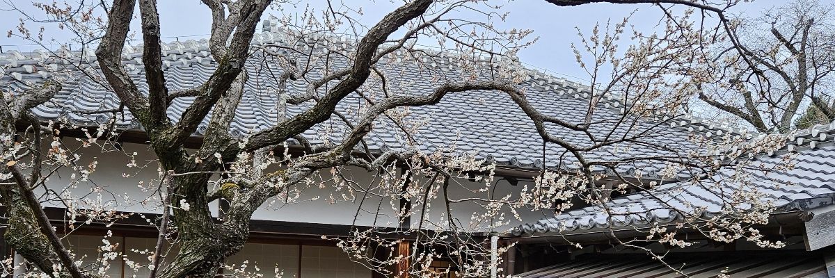 ぎい