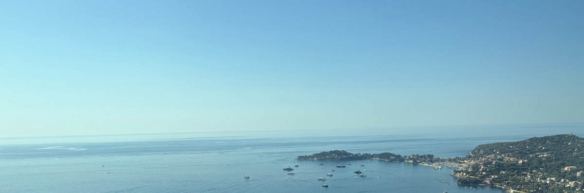 さかもとあゆみ