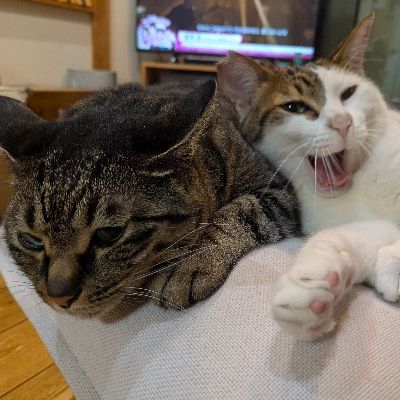 かぐモグ