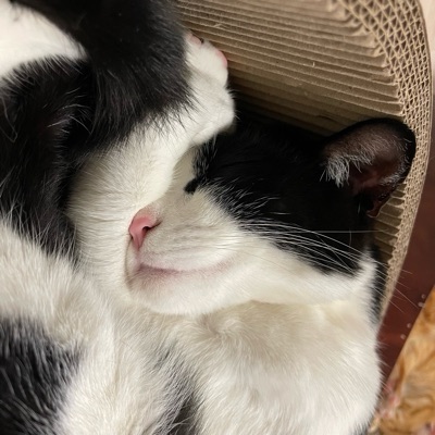 ゆうな