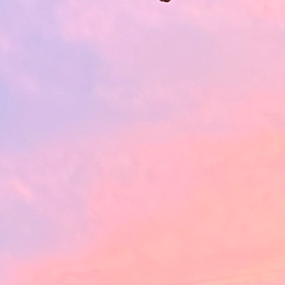 るでぃ。