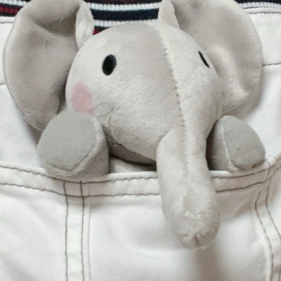 ふなてん