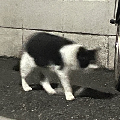 肉の虫太郎