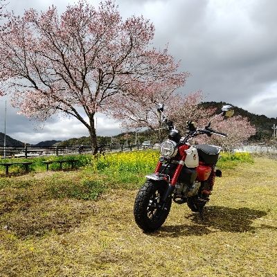 サン