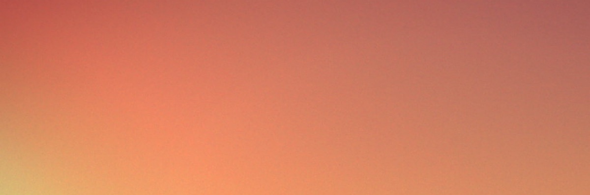 大器晩成のたぬき